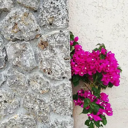 The Mathraki Studios