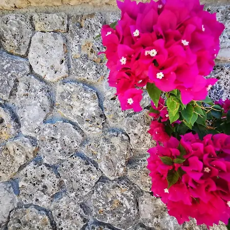 The Mathraki Studios 4*