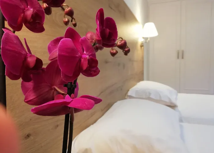 The Mathraki (adults Only) 4* Arílasz