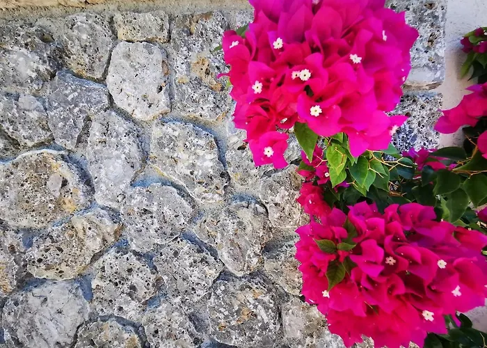 The Mathraki (adults Only) 4*